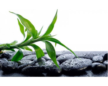 Фільтри зворотного осмосу із шунгітовим мінералізатором – корисна вода в домашніх умовах