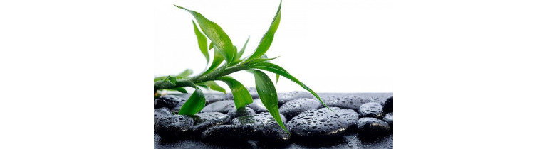 Фільтри зворотного осмосу із шунгітовим мінералізатором – корисна вода в домашніх умовах