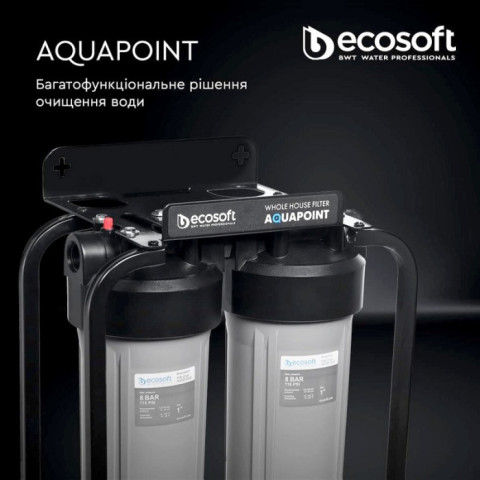 Двоступінчастий фільтр Ecosoft AquaPoint FPV24520SECOSTD