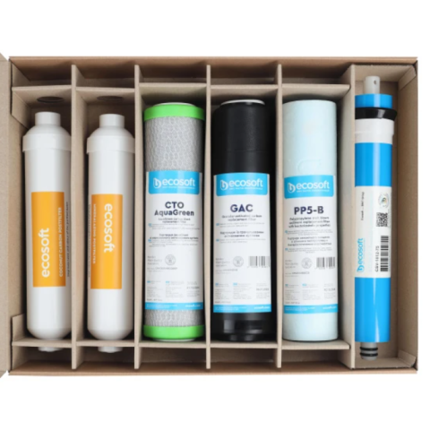 Комплект картриджей Ecosoft Absolute "12 месяцев" (CHV6ECOABS)