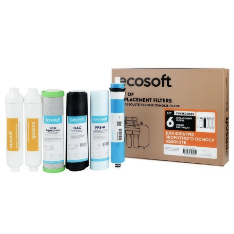 Комплект картриджів Ecosoft Absolute "12 місяців" (CHV6ECOABS)