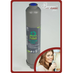Картридж постфільтр Bregus® Classic Silver BC-L-GAC