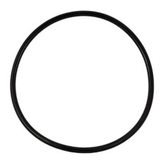 Уплотнительное кольцо к Big Blue 10,20