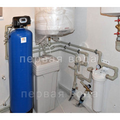 Фільтр-пом'якшувач Organic U-10 Easy