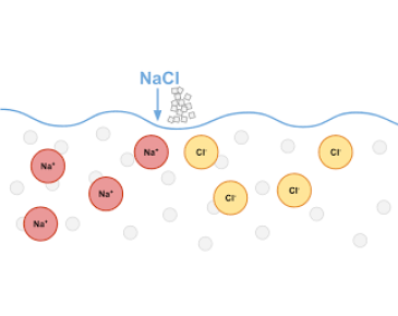 М'яка та жорстка вода